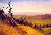 Newbraska Wasatch Mountains Bierstadt